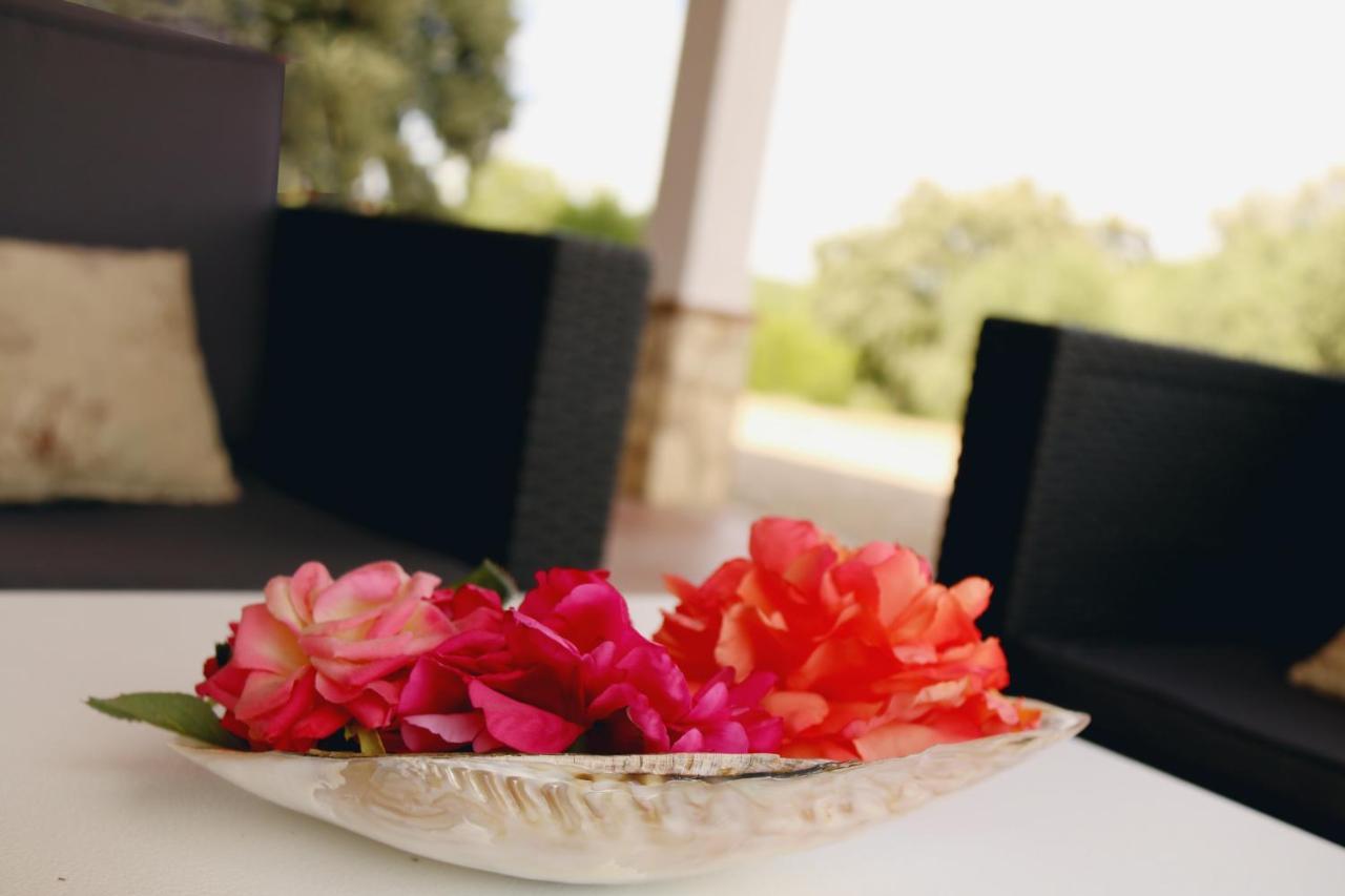 La Sierrezuela Guest House Посадас Екстериор снимка